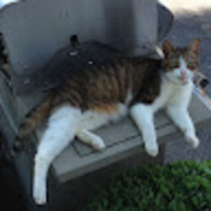 Meet your Posher, Karina